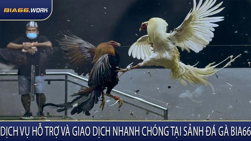 Dịch Vụ Hỗ Trợ Và Giao Dịch Nhanh Chóng Tại Sảnh Đá Gà BIA66
